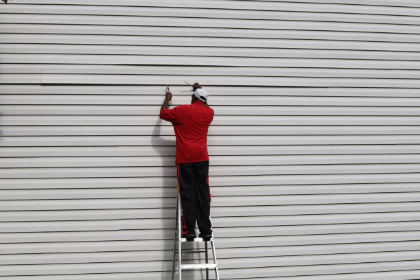 Best Insulated Siding Installation  in Shell Rock, IA