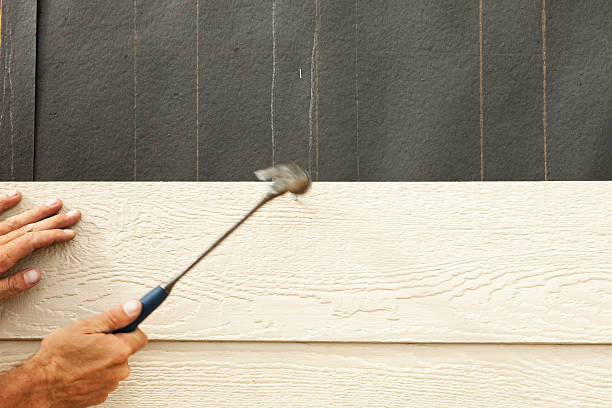 Best Fascia and Soffit Installation  in Shell Rock, IA